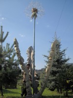 /album/miro-pallo/picture-289-jpg/